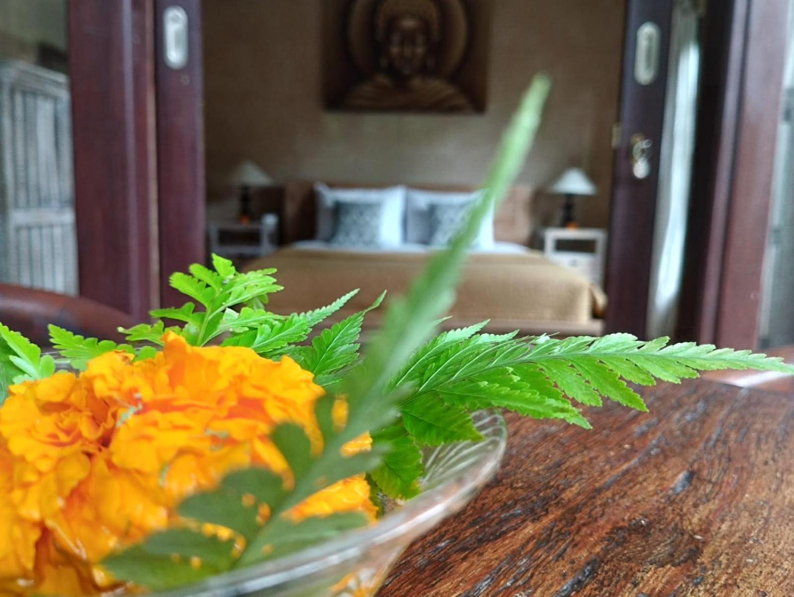 Umah Ubud Guest House Εξωτερικό φωτογραφία